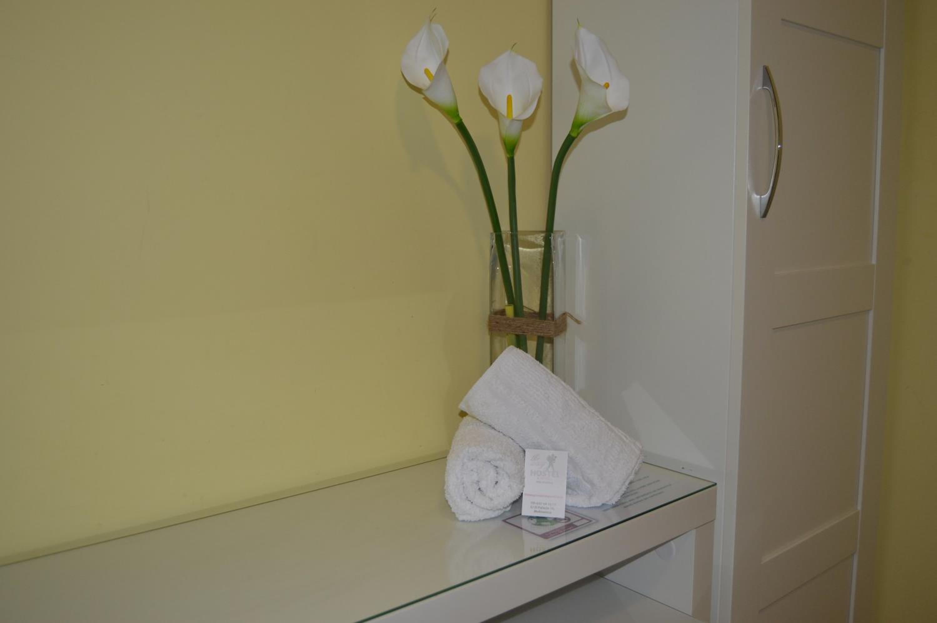 Double or Twin Room photo 3