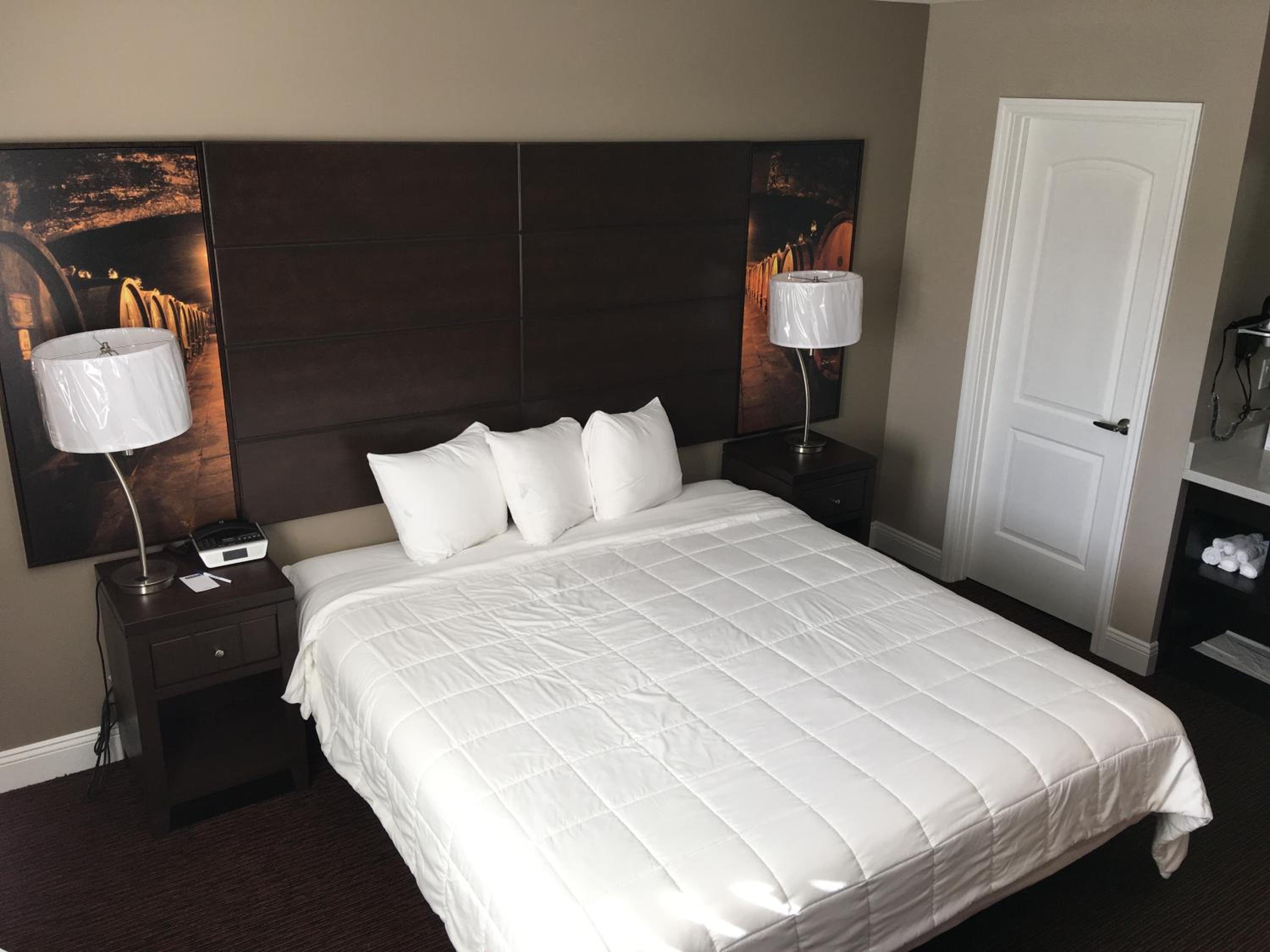 King Room - Non-Smoking photo 2
