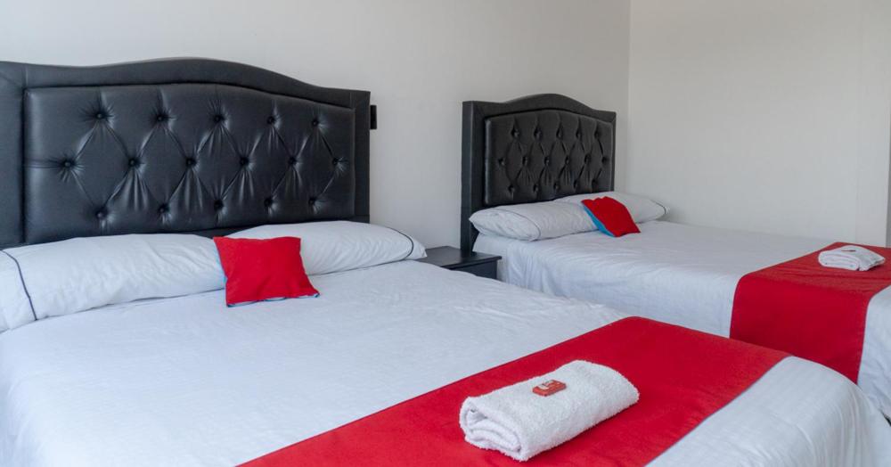Double Room with Two Double Beds
