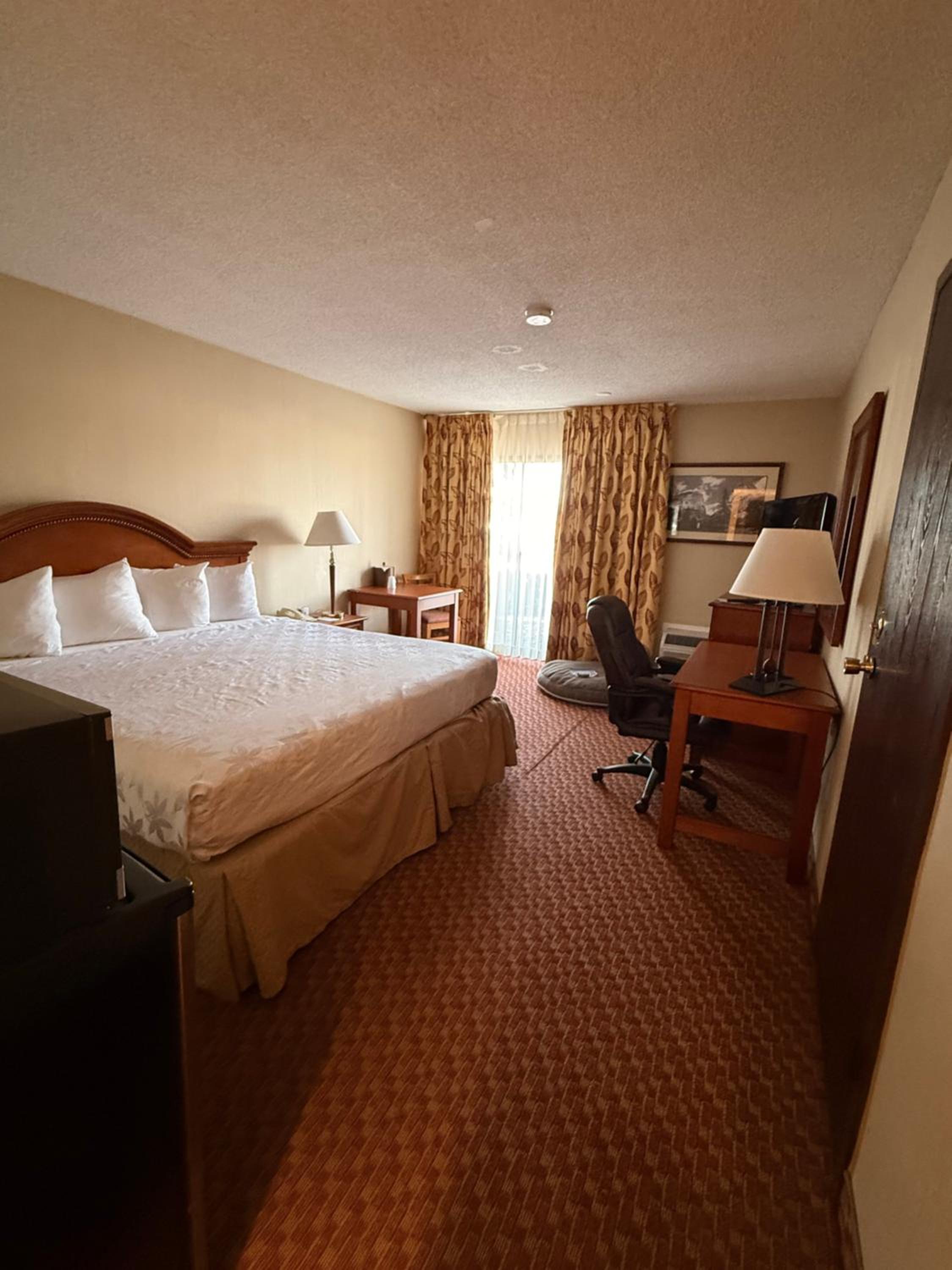 King Room - Non-Smoking/Pet-Friendly - Photo 3