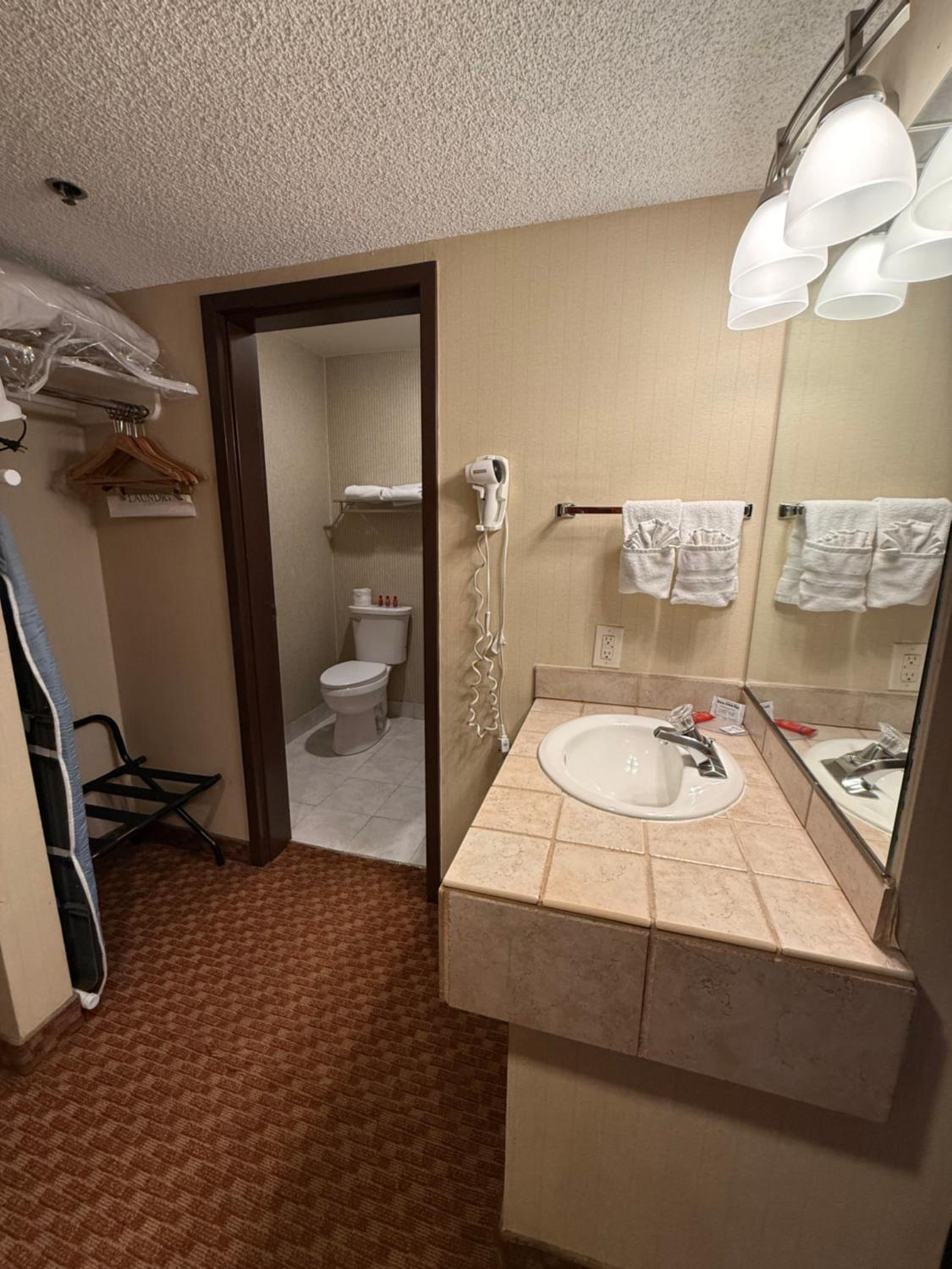 King Room - Non-Smoking/Pet-Friendly - Photo 4