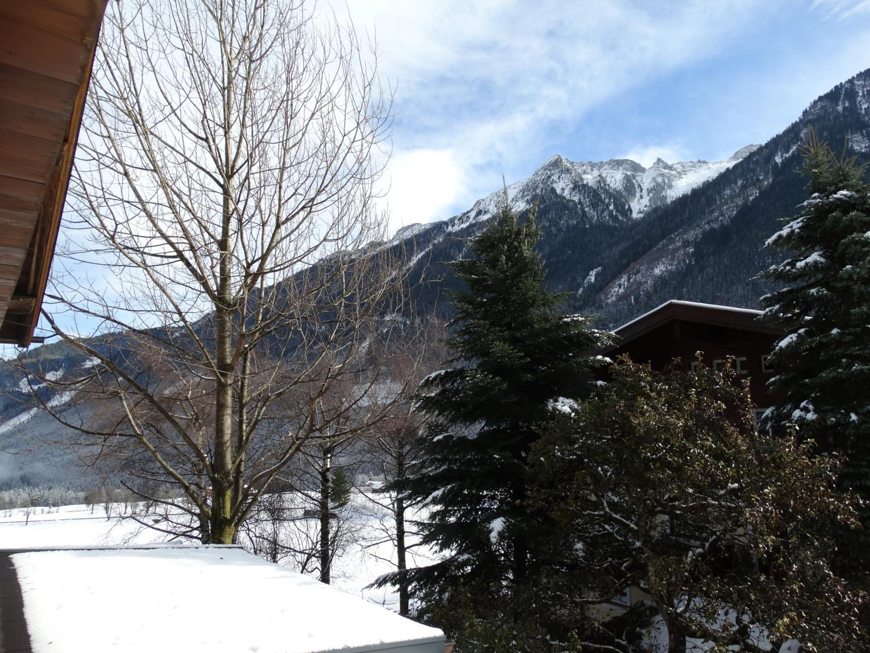 Double Room with Mountain View photo 3