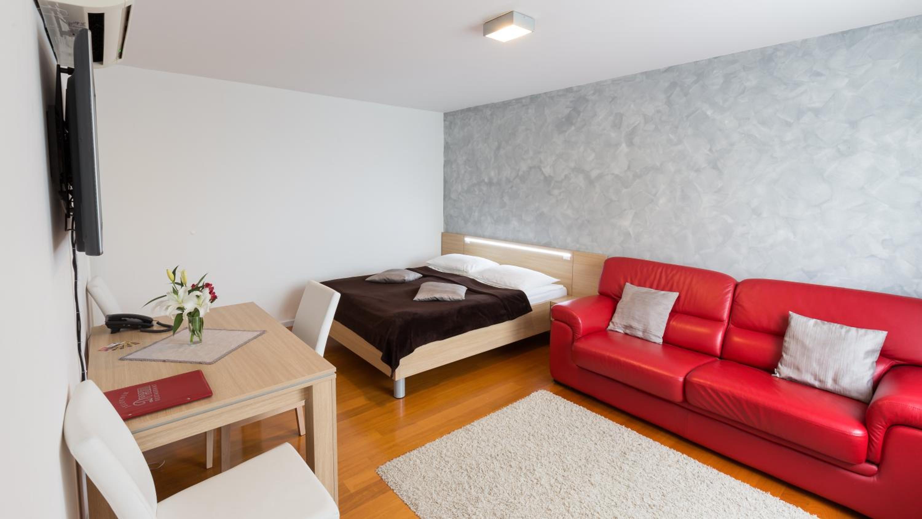 Luxury One-Bedroom Apartment photo 1