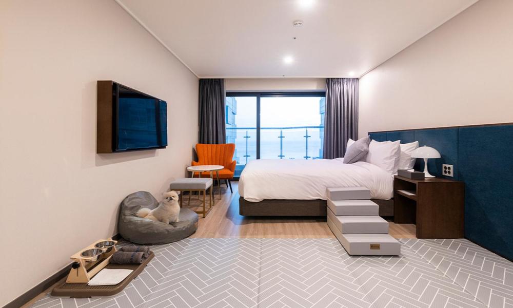 Dog Friendly Deluxe Double Room