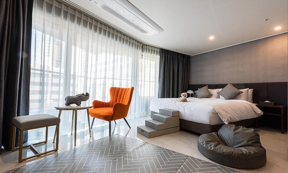Dog Friendly Premier Double Room