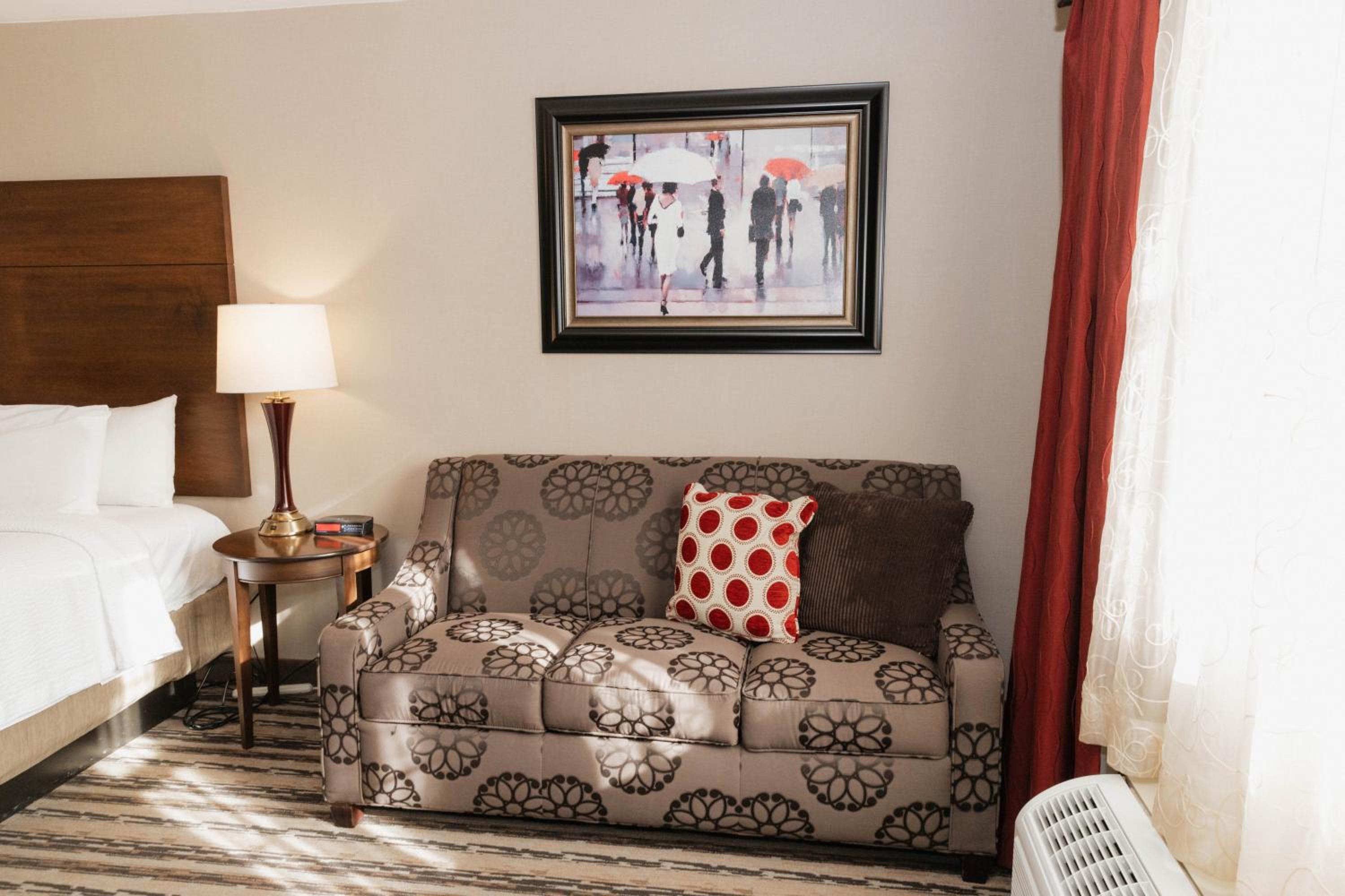 Pet Friendly Room with One King Bed