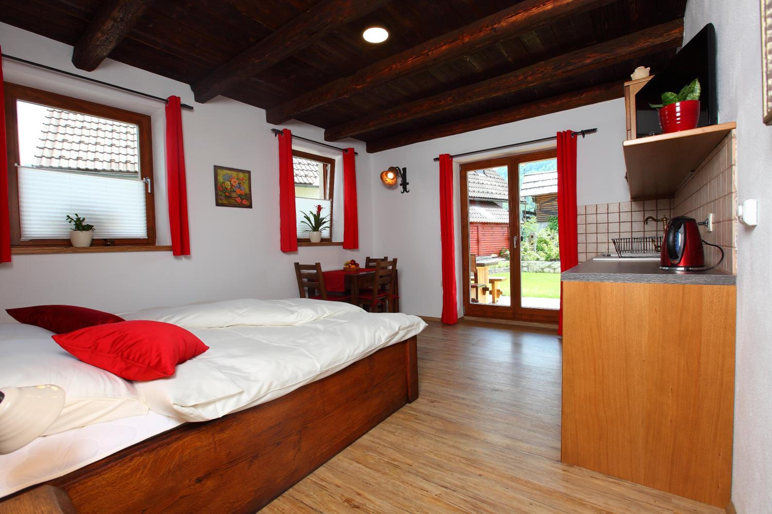 Studio with Terrace photo 1