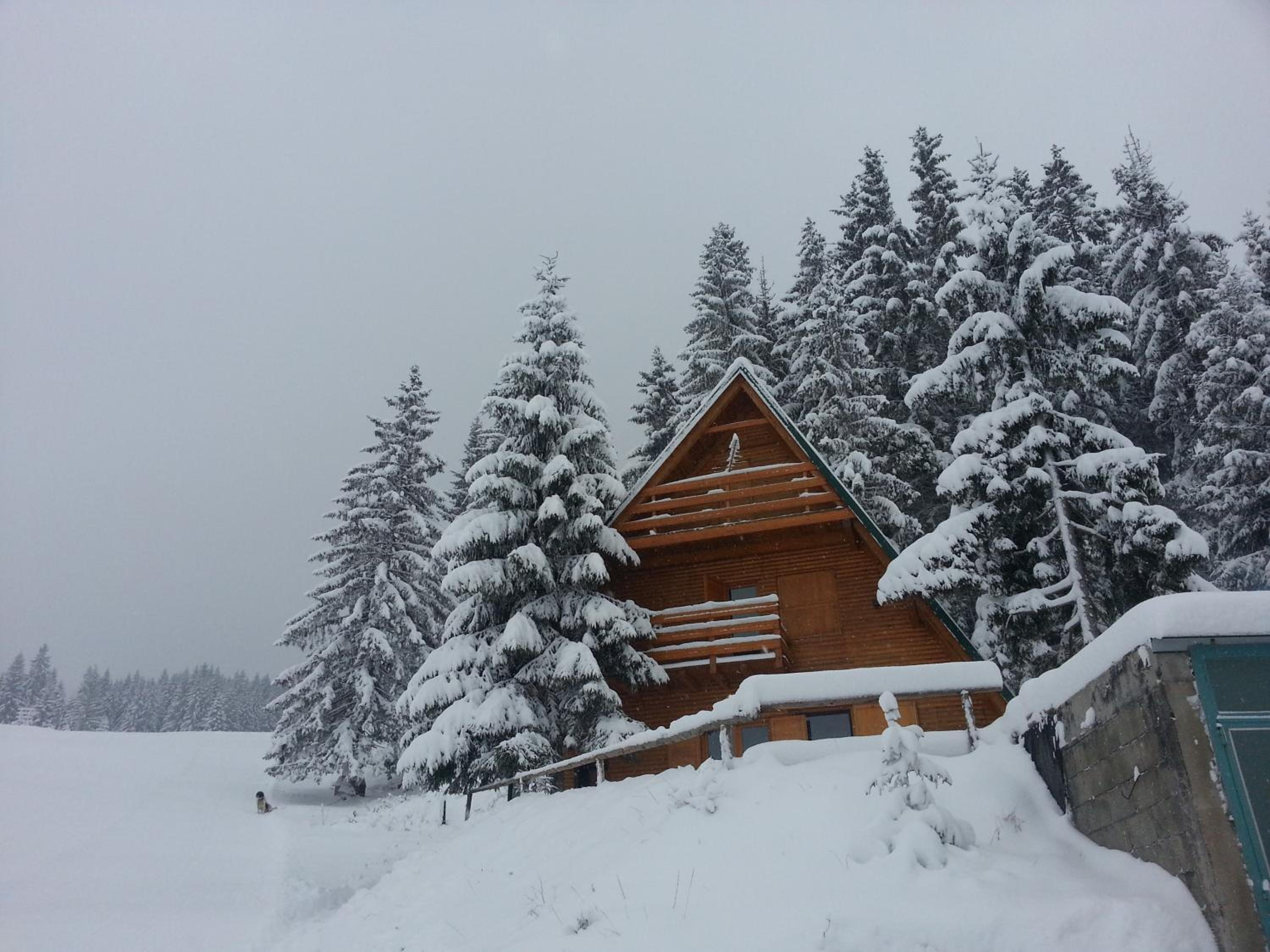 Two-Bedroom Chalet photo 2