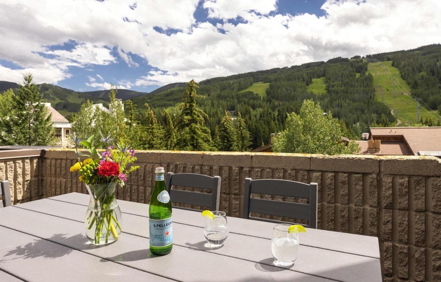 Vail 21 407