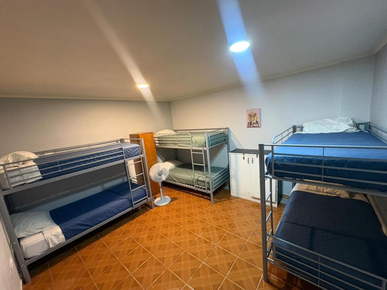 Bed in 6-Bed Mixed Dormitory Room photo 1