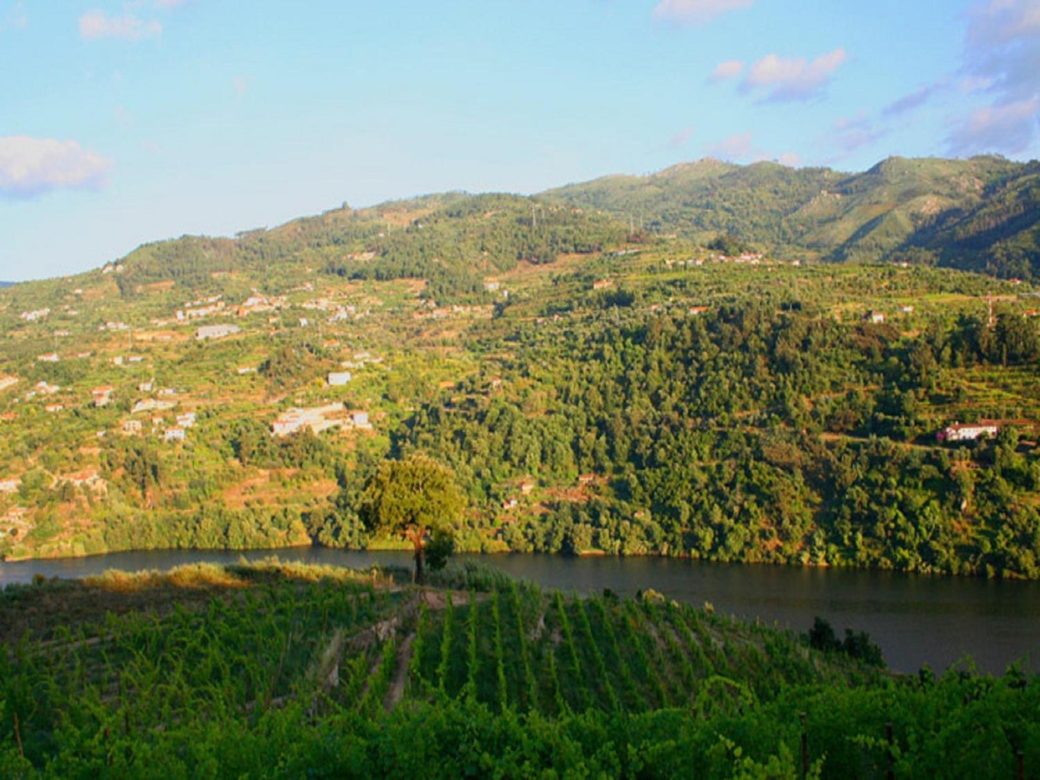 Double Room with River View - Photo 5