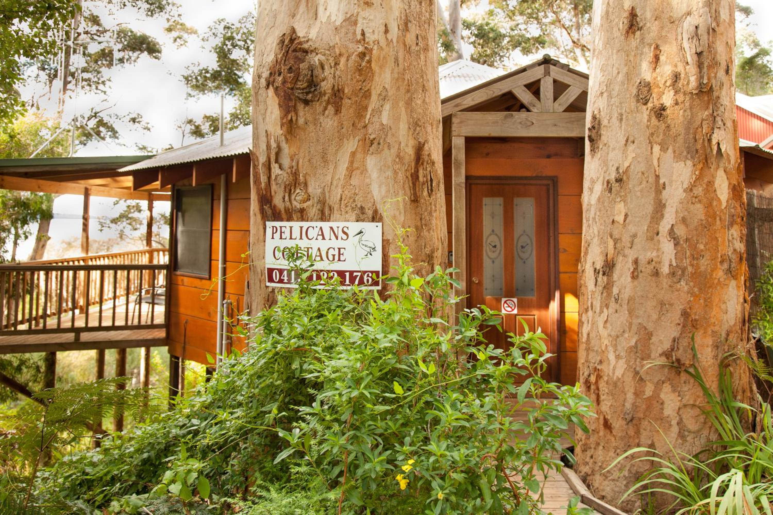 Pelicans Cottage photo 3