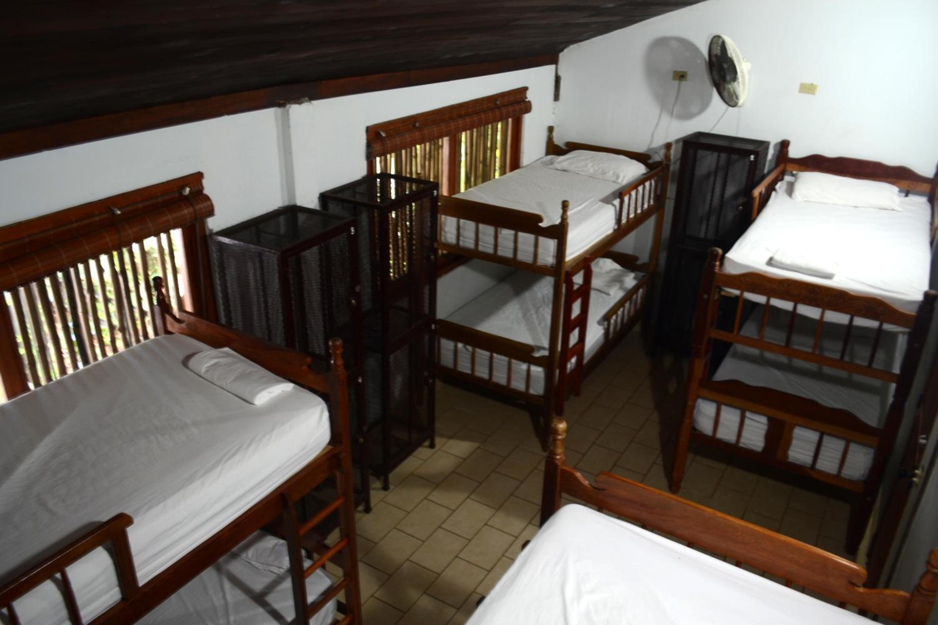 Bed in 8-Bed Mixed Dormitory Room photo 1