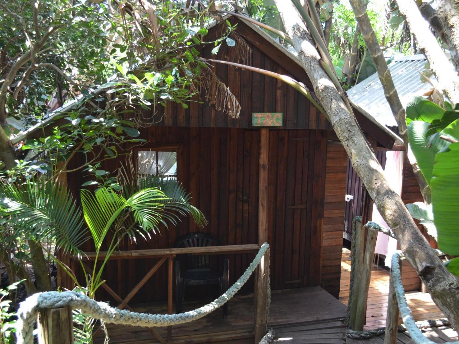 Basic Cabin - Photo 4