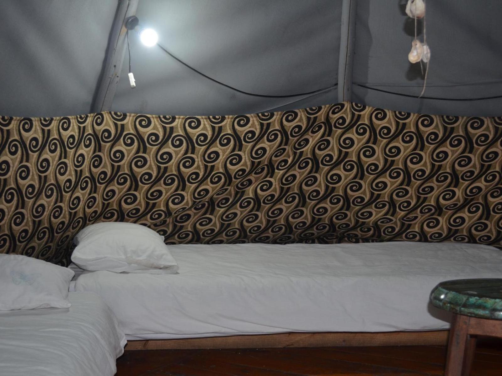 Standard Tent - Photo 2