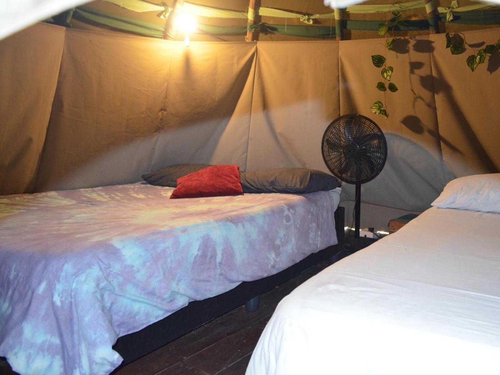 Standard Tent - Photo 3