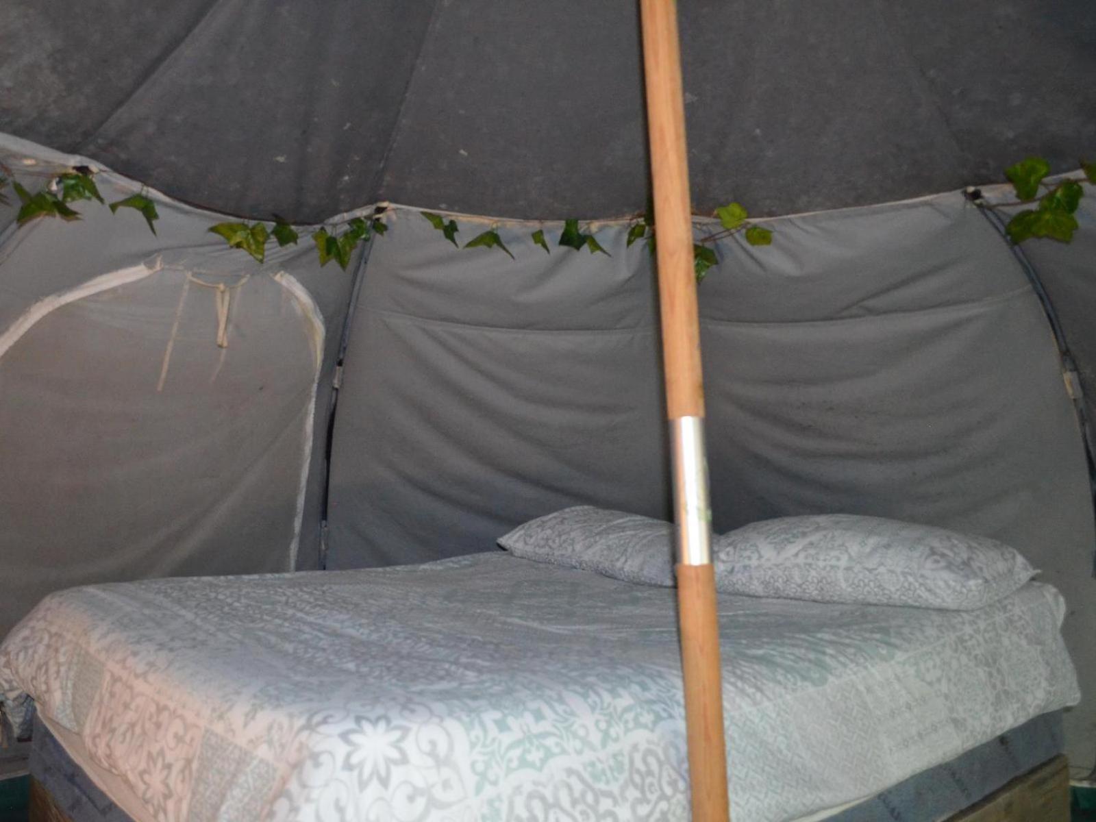 Deluxe Tent photo 2