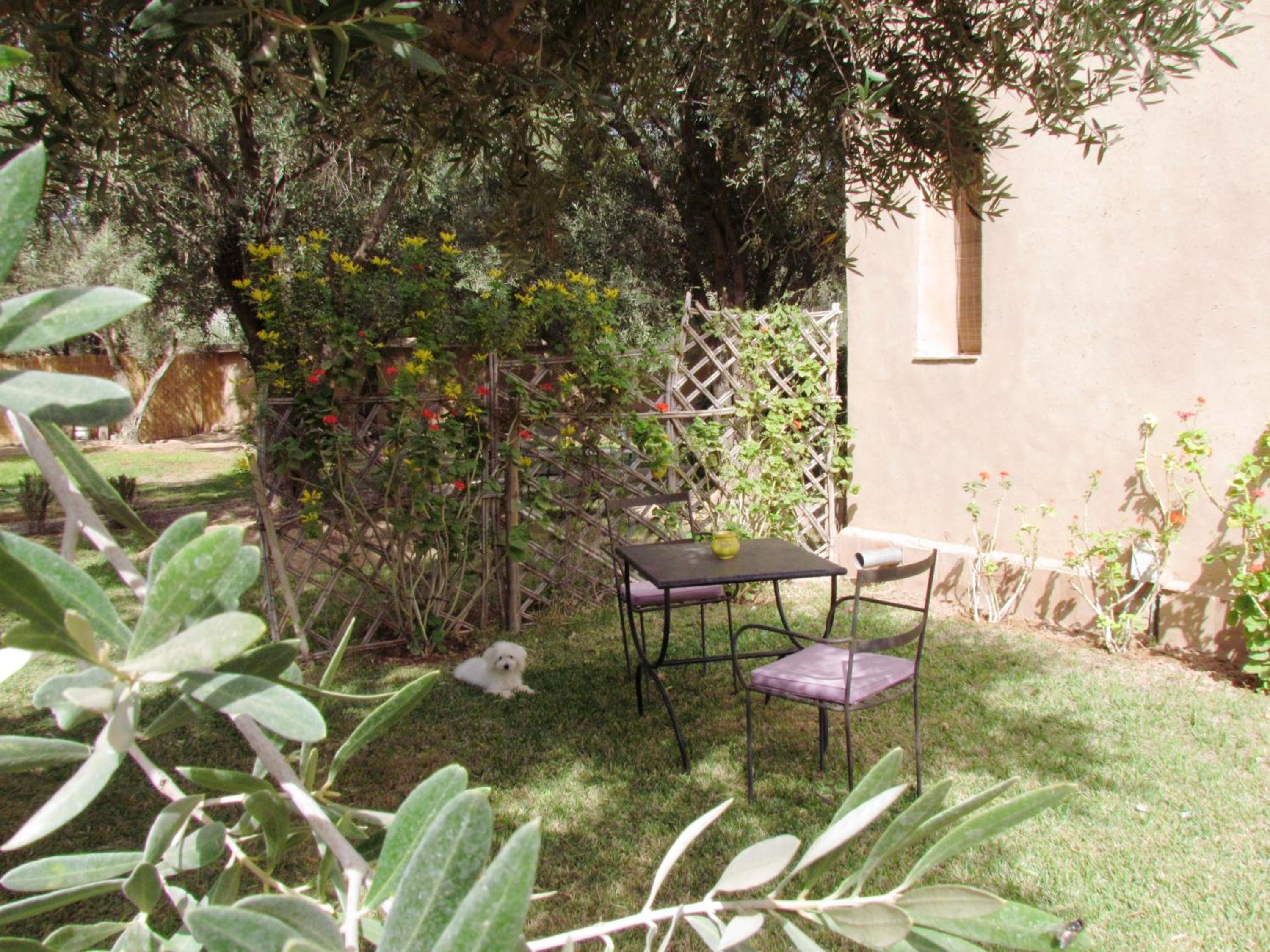 Double Room With Garden View photo 3