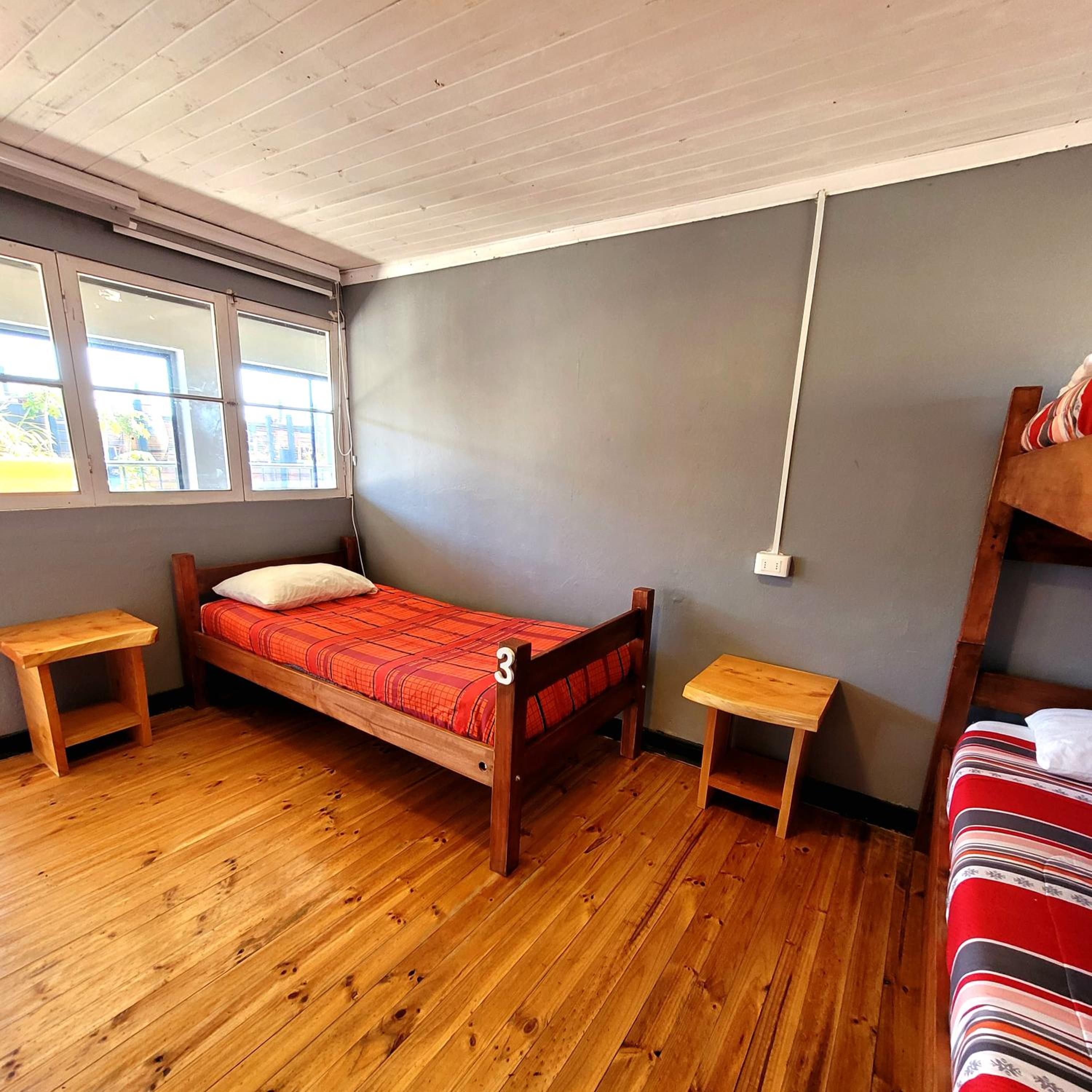 Single Bed in Female Dormitory Room photo 3