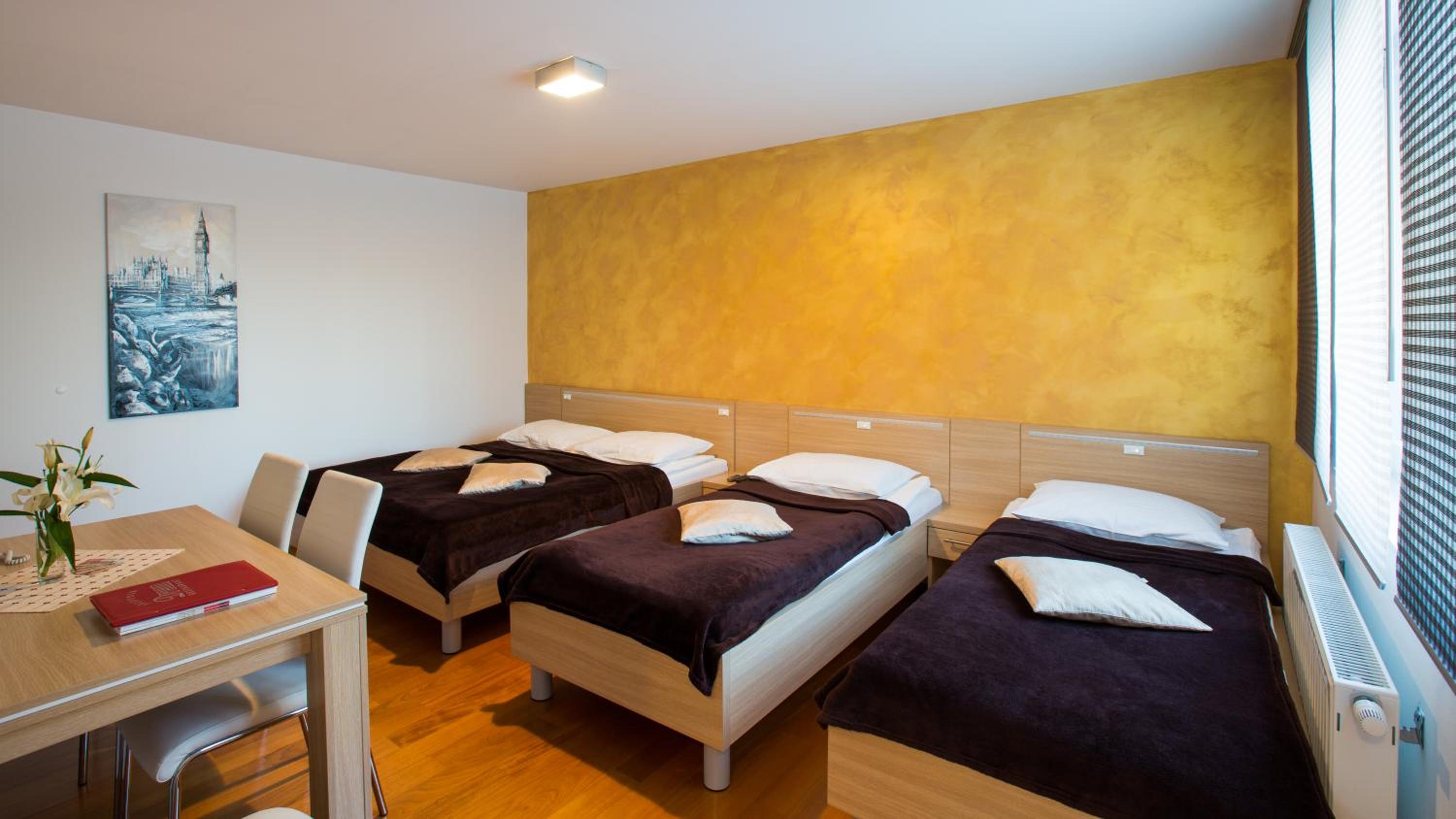 One-Bedroom Apartment
