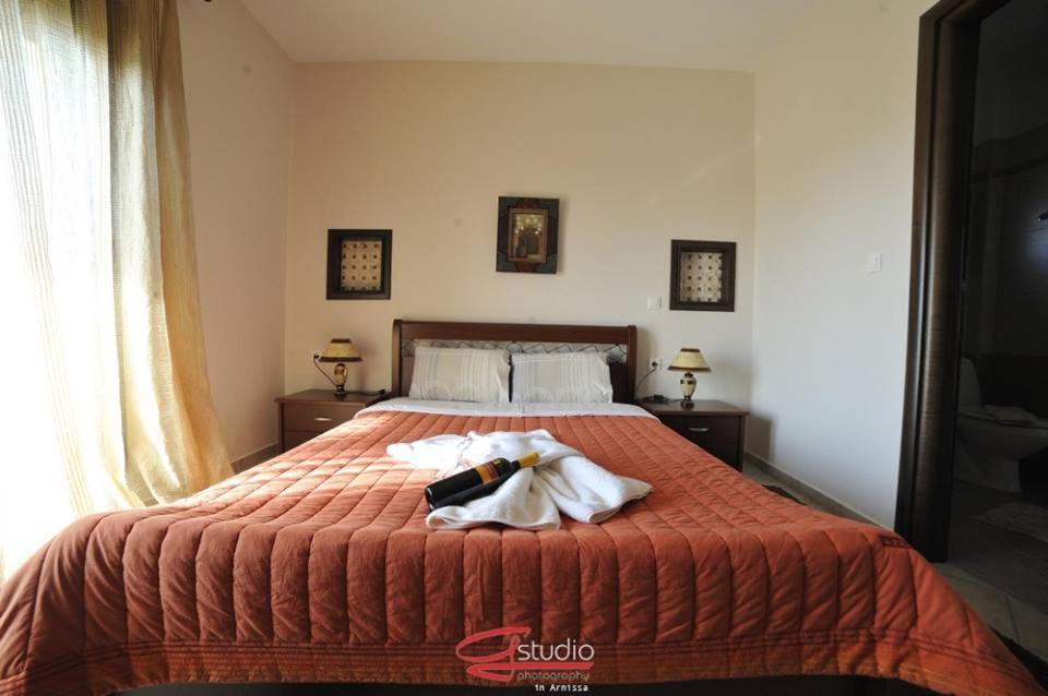 Budget Double or Twin Room photo 3