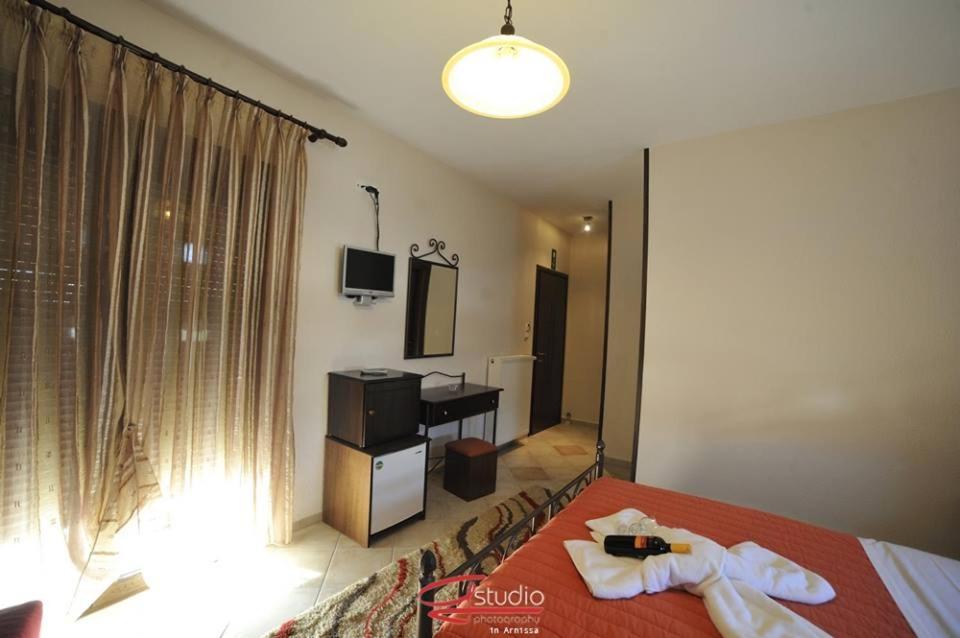 Deluxe Double or Twin Room photo 3
