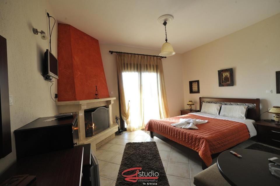 Budget Double or Twin Room photo 2