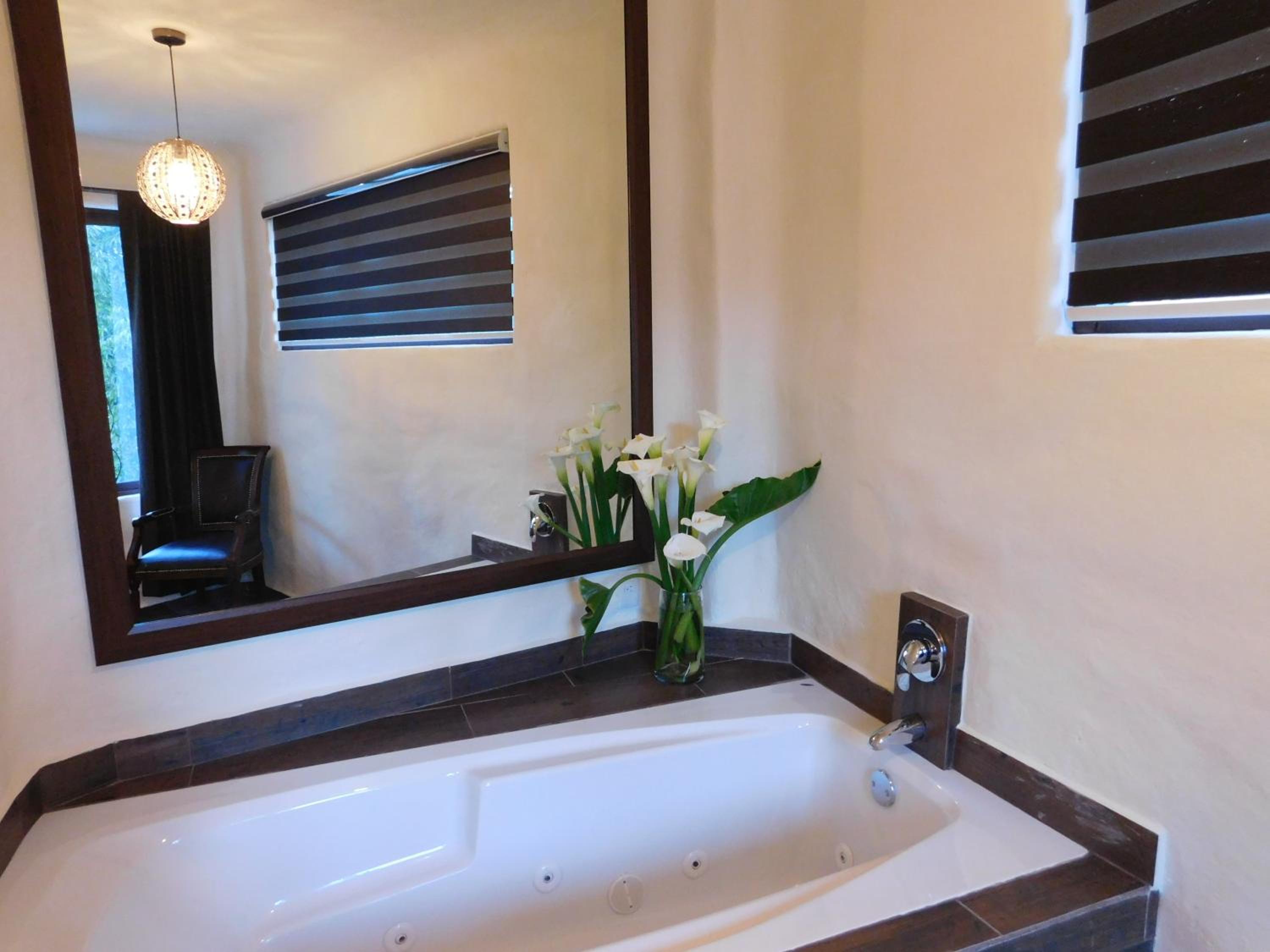 Deluxe Suite with Spa Bath photo 3