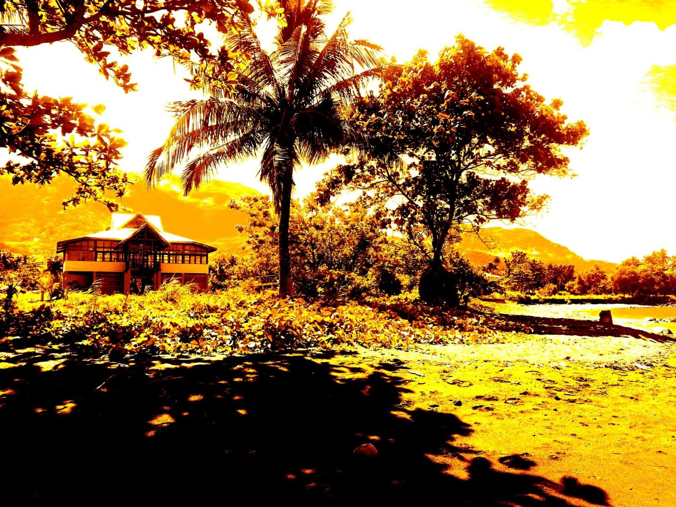 Villa - Photo 17