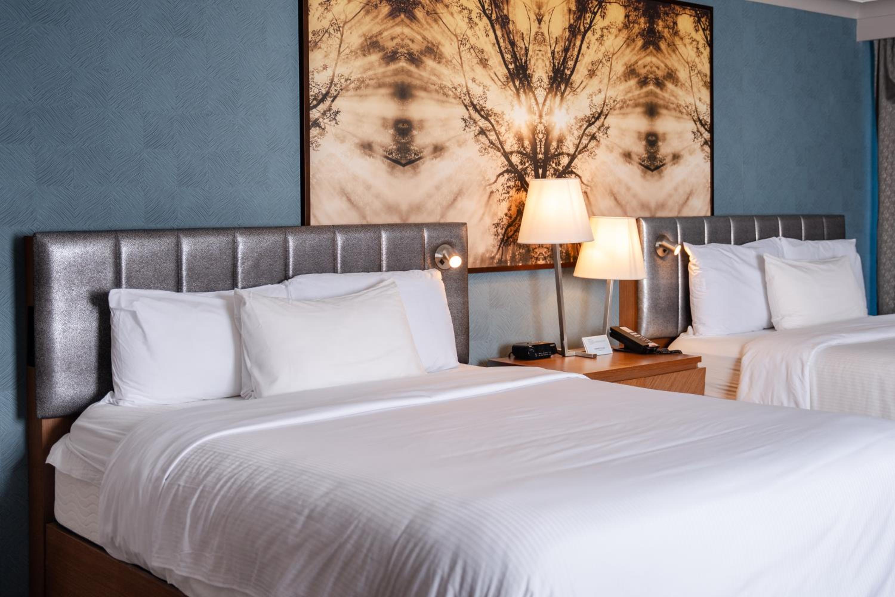 Queen Room with Walk-In Shower - Pet-Friendly