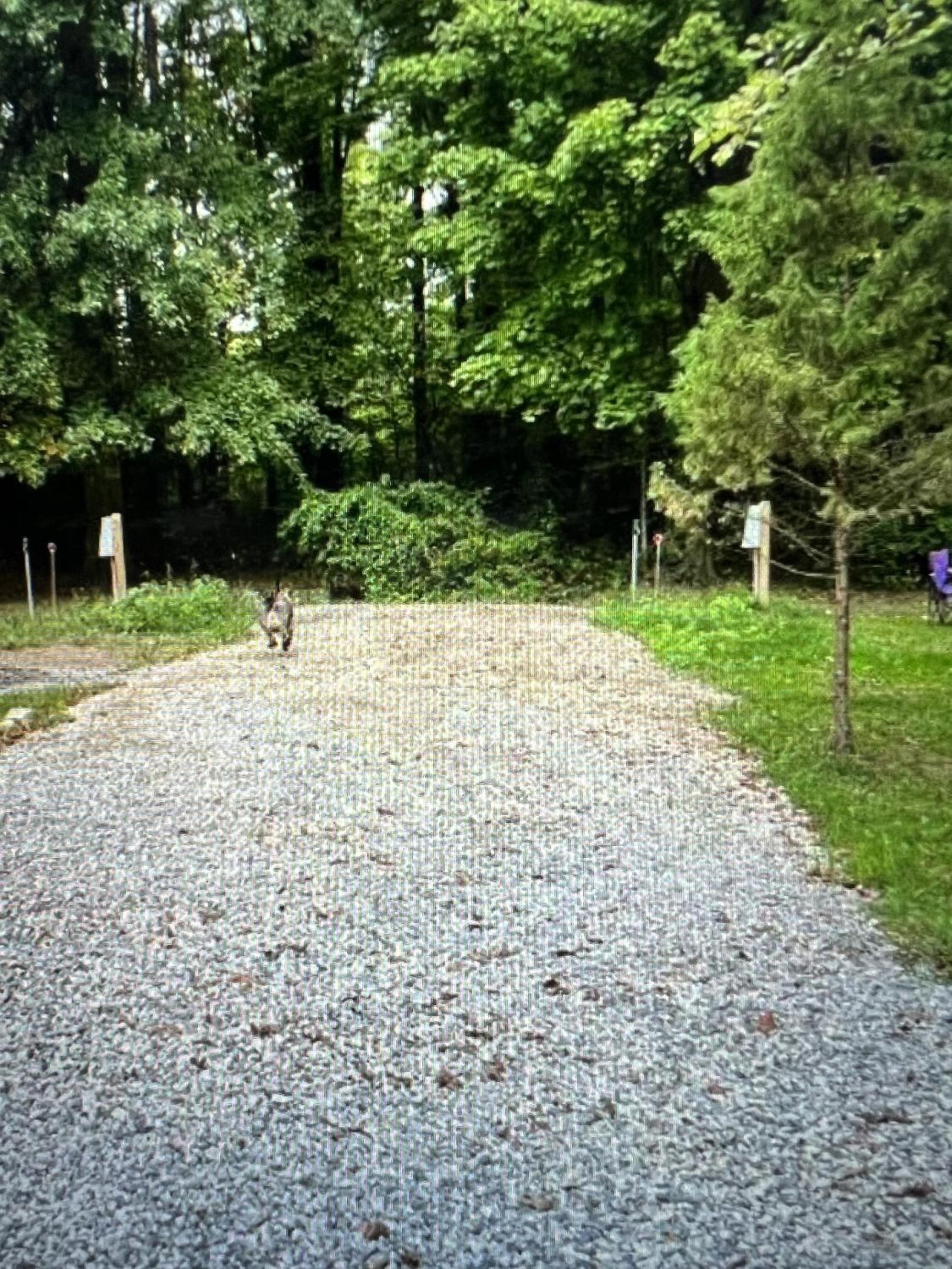 Empty Lot photo 2