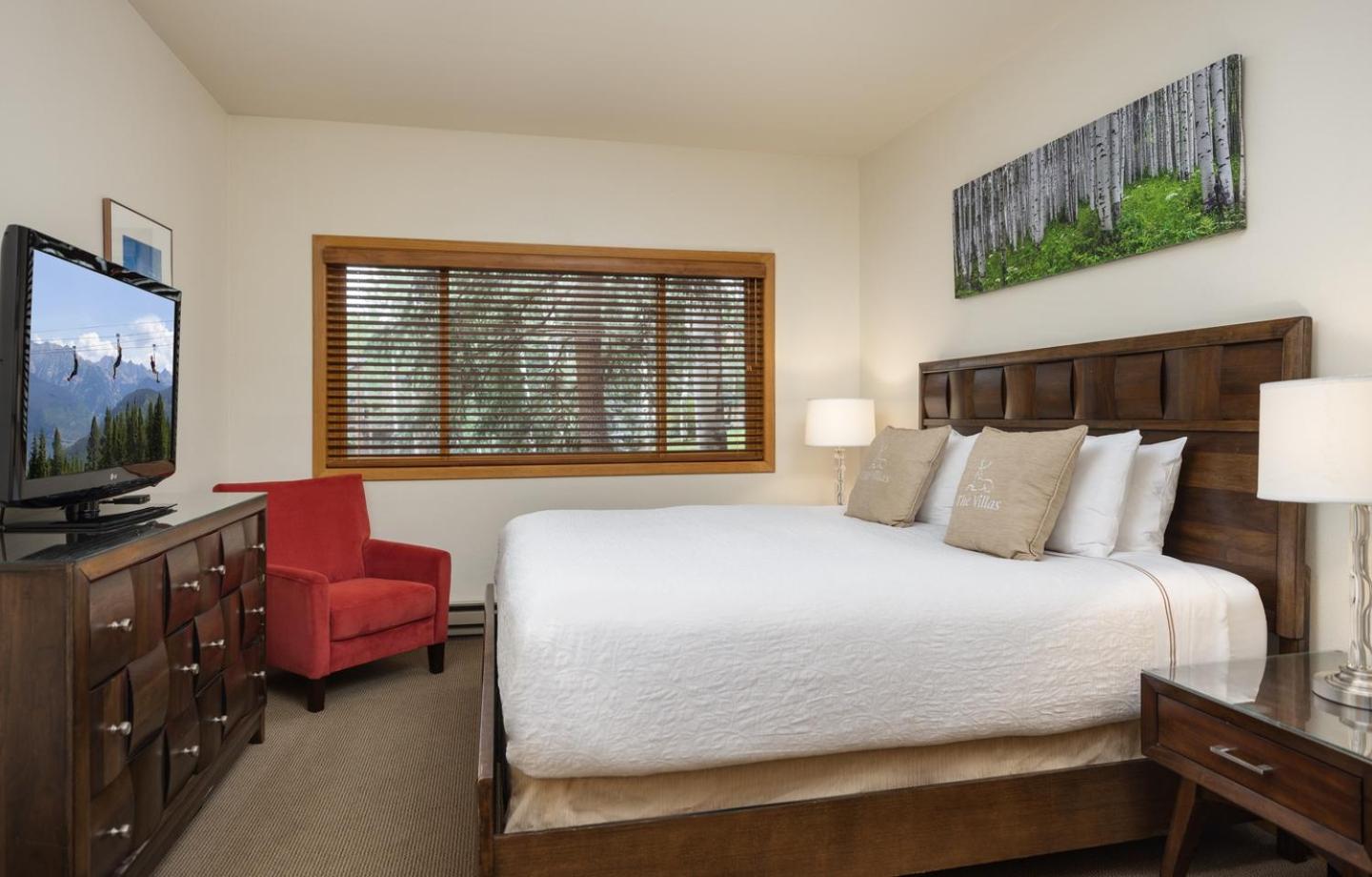 Villas at Snowmass Club - 1516 photo 3