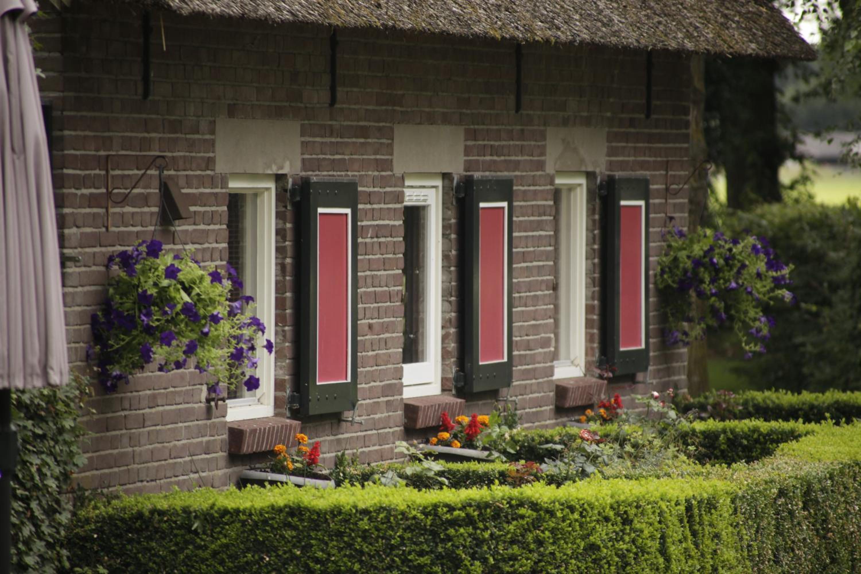 Holiday Home (4 Adults) photo 3