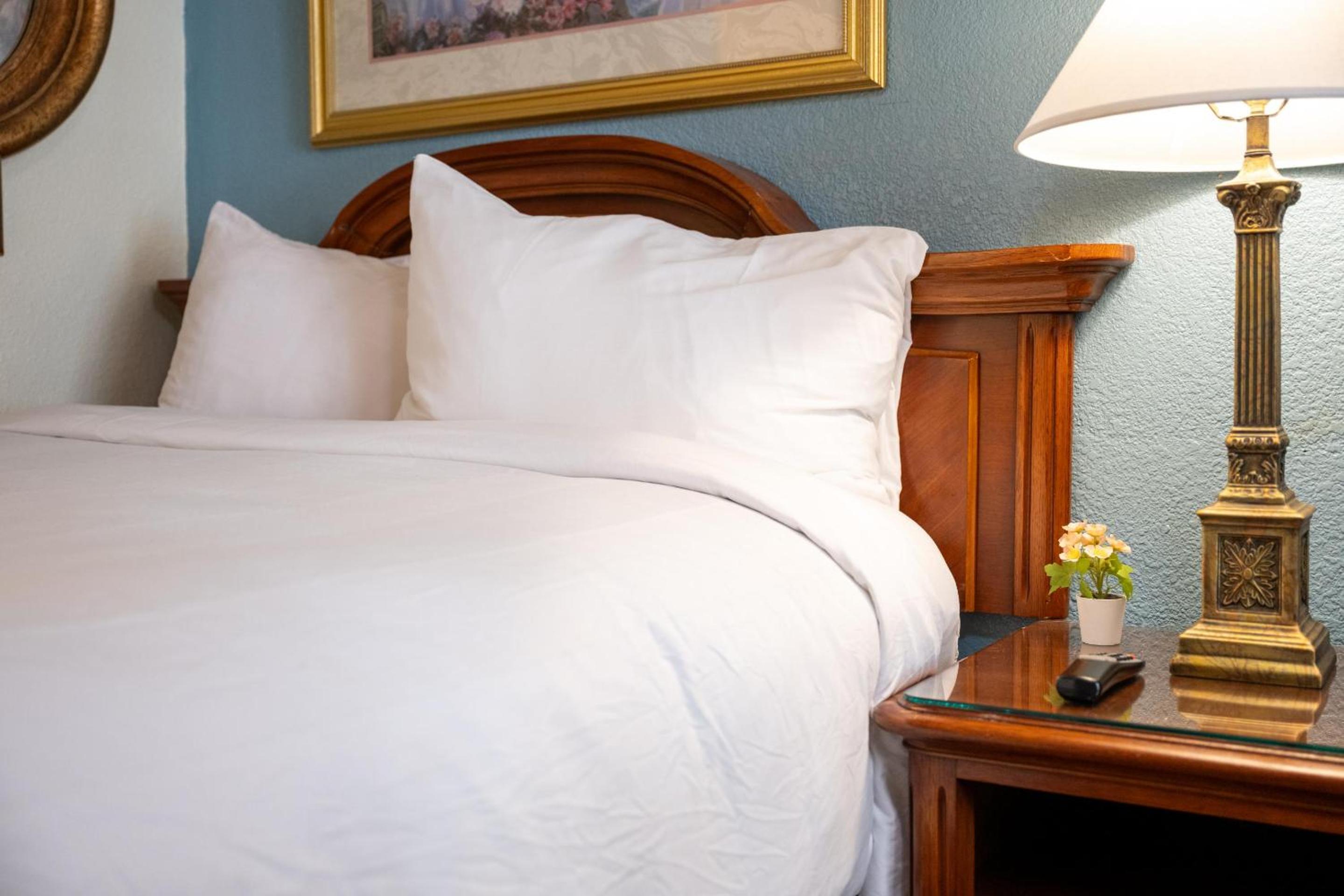 Suite - Queen Bed Non-Smoking