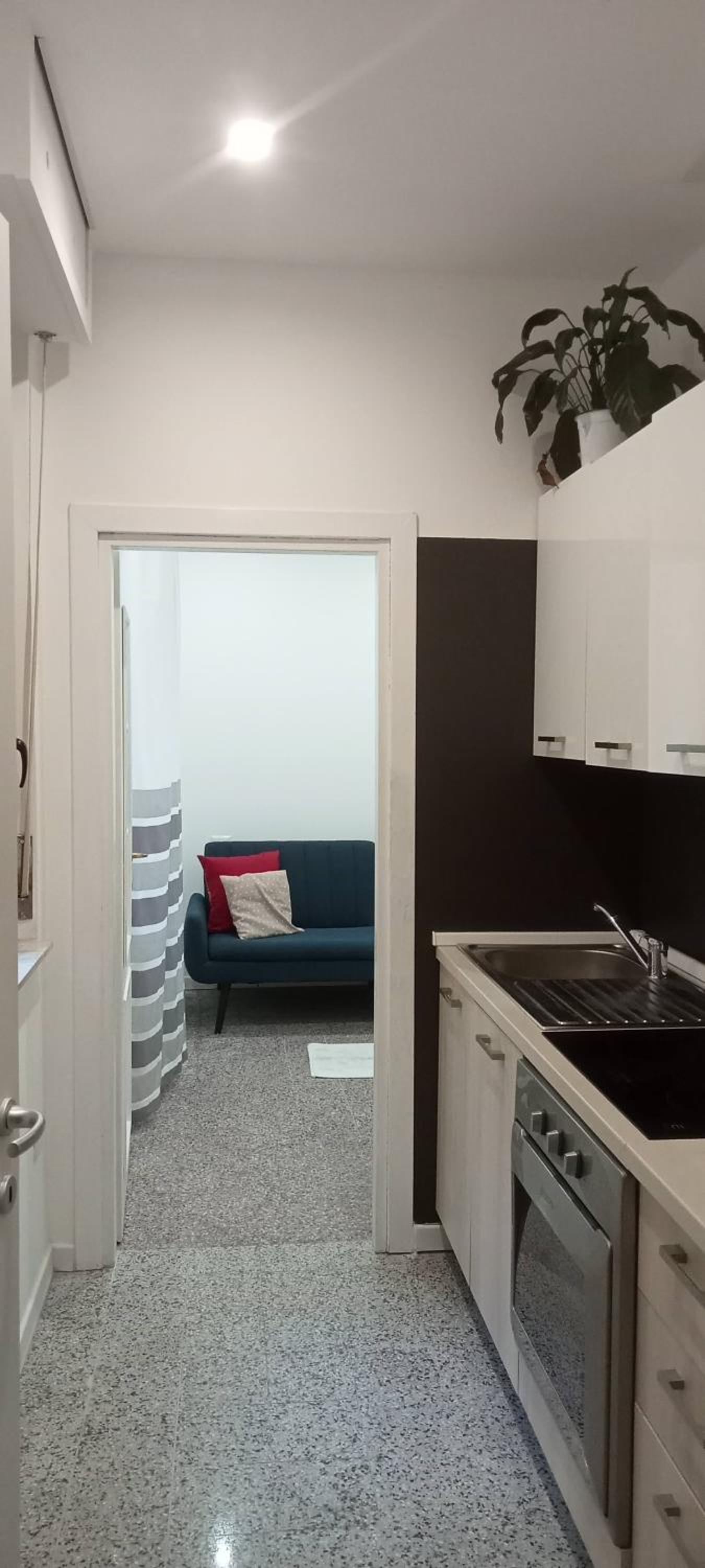 One-Bedroom Standard Apartment photo 3