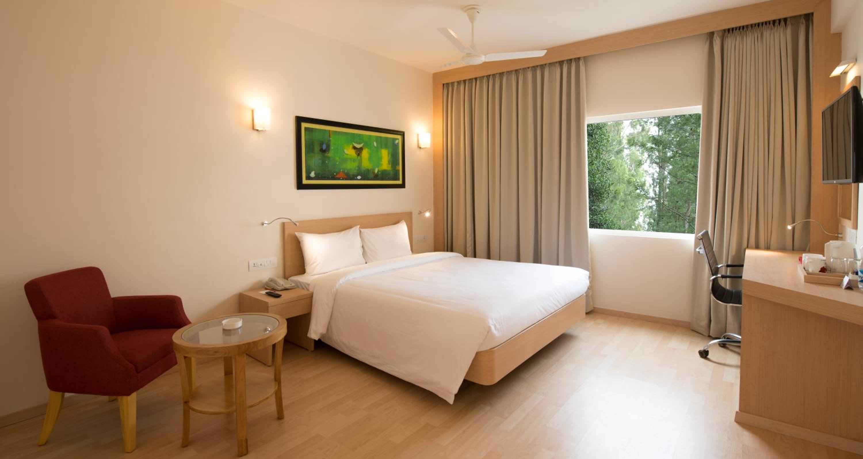 Executive Suite photo 1
