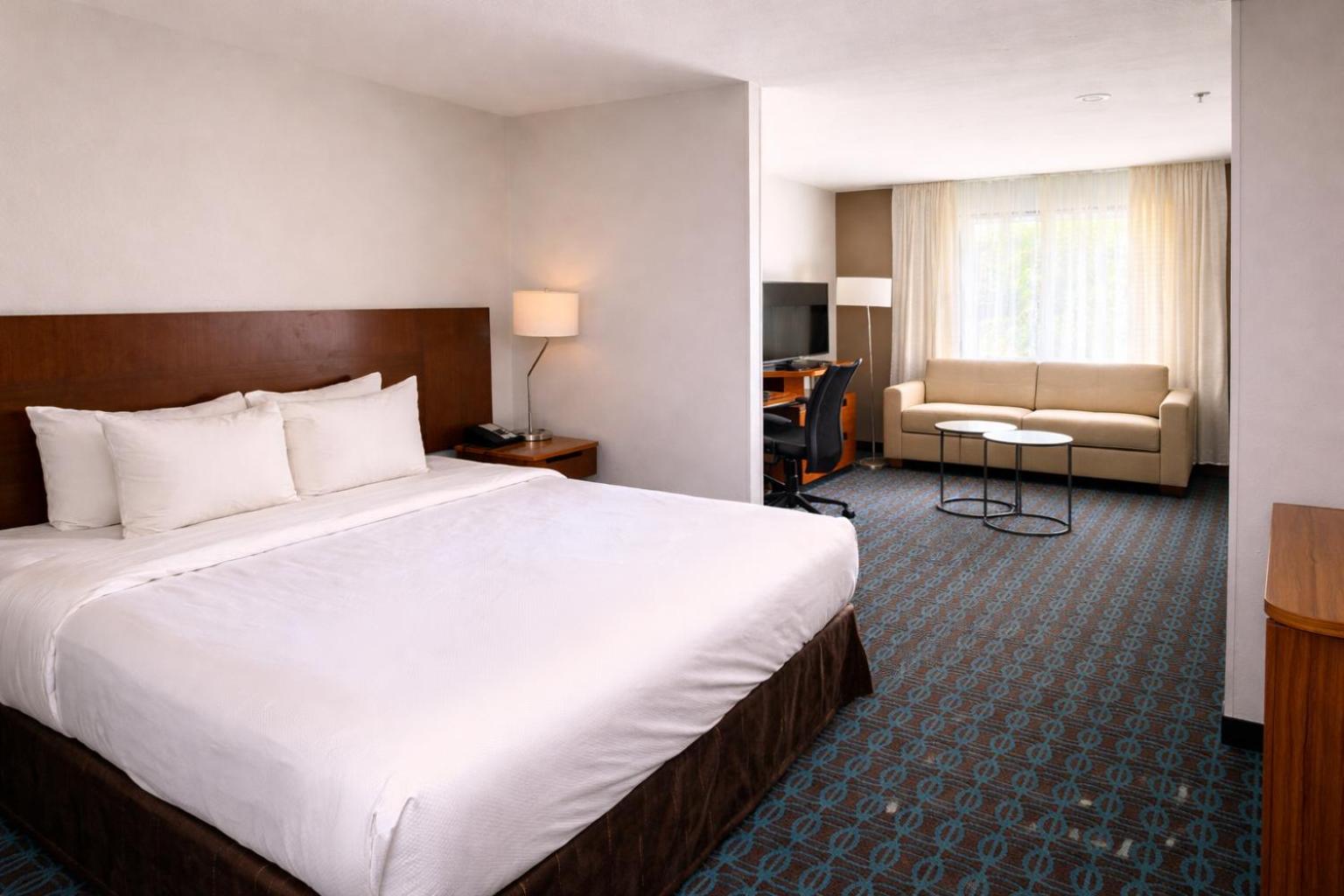 Accessible King Suite with Sofa Bed - Non Smoking - Photo 5