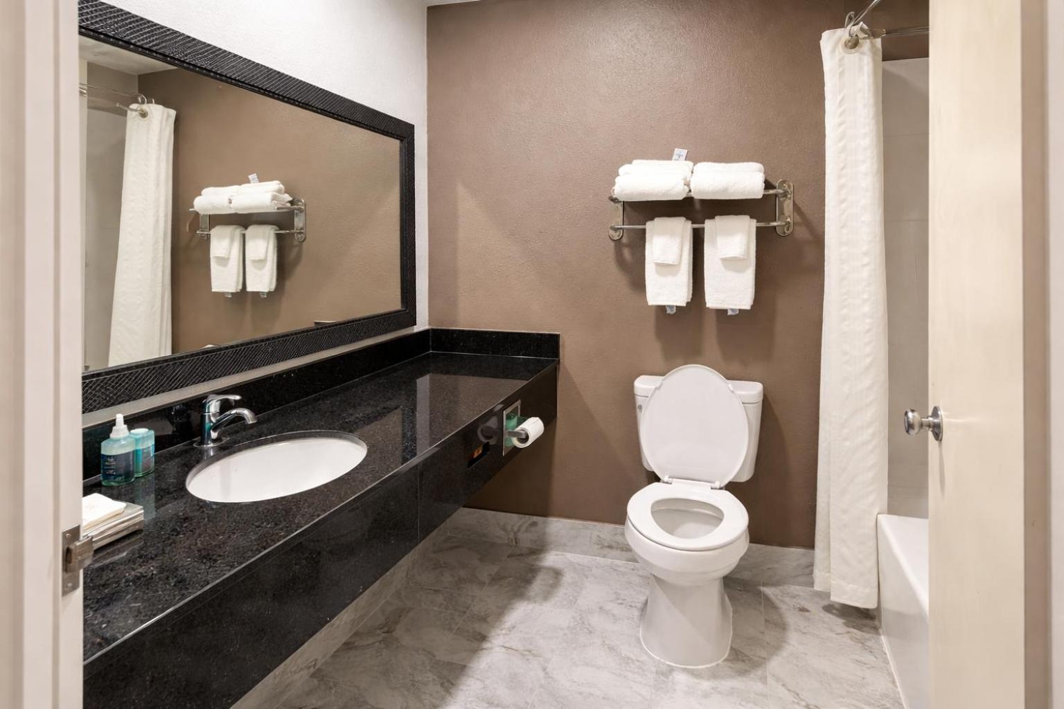 Accessible King Suite with Sofa Bed - Non Smoking - Photo 7