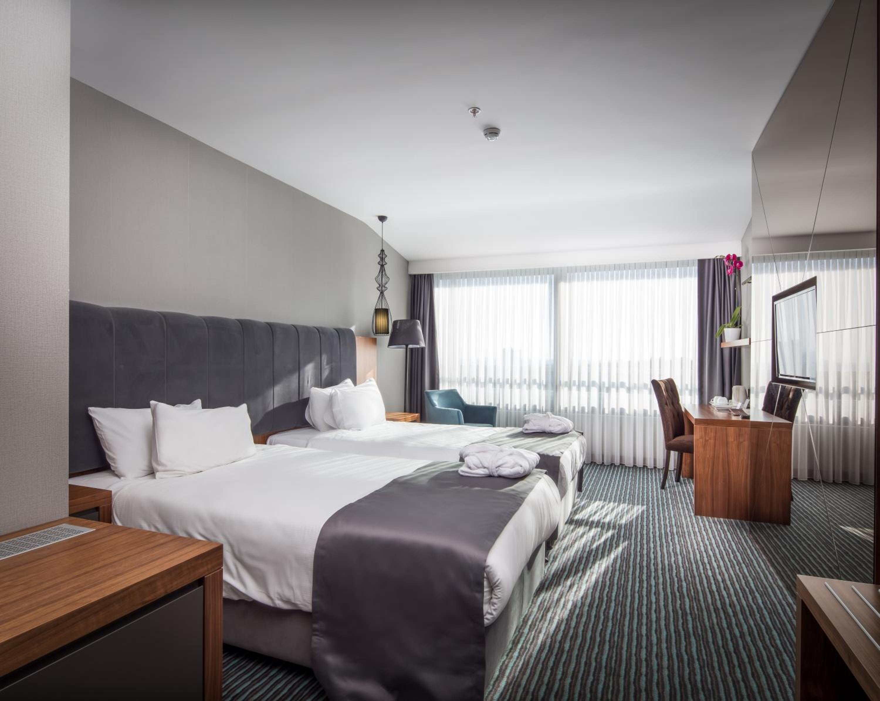 Deluxe Double or Twin Room photo 1
