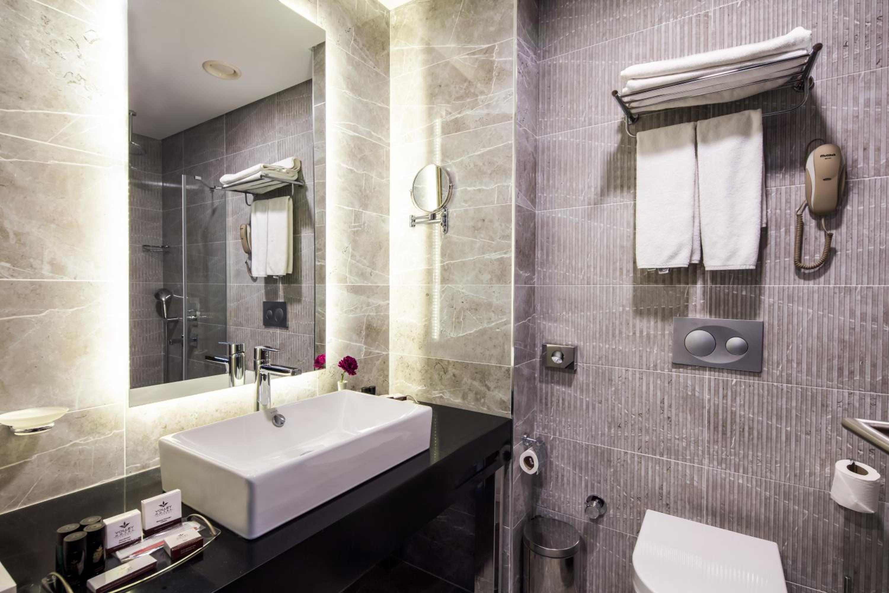 Deluxe Double or Twin Room photo 3