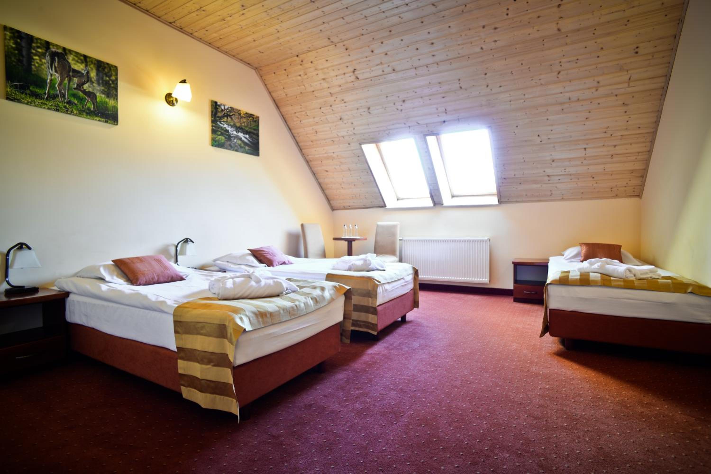 Family Room (3 Adults) - Photo 4