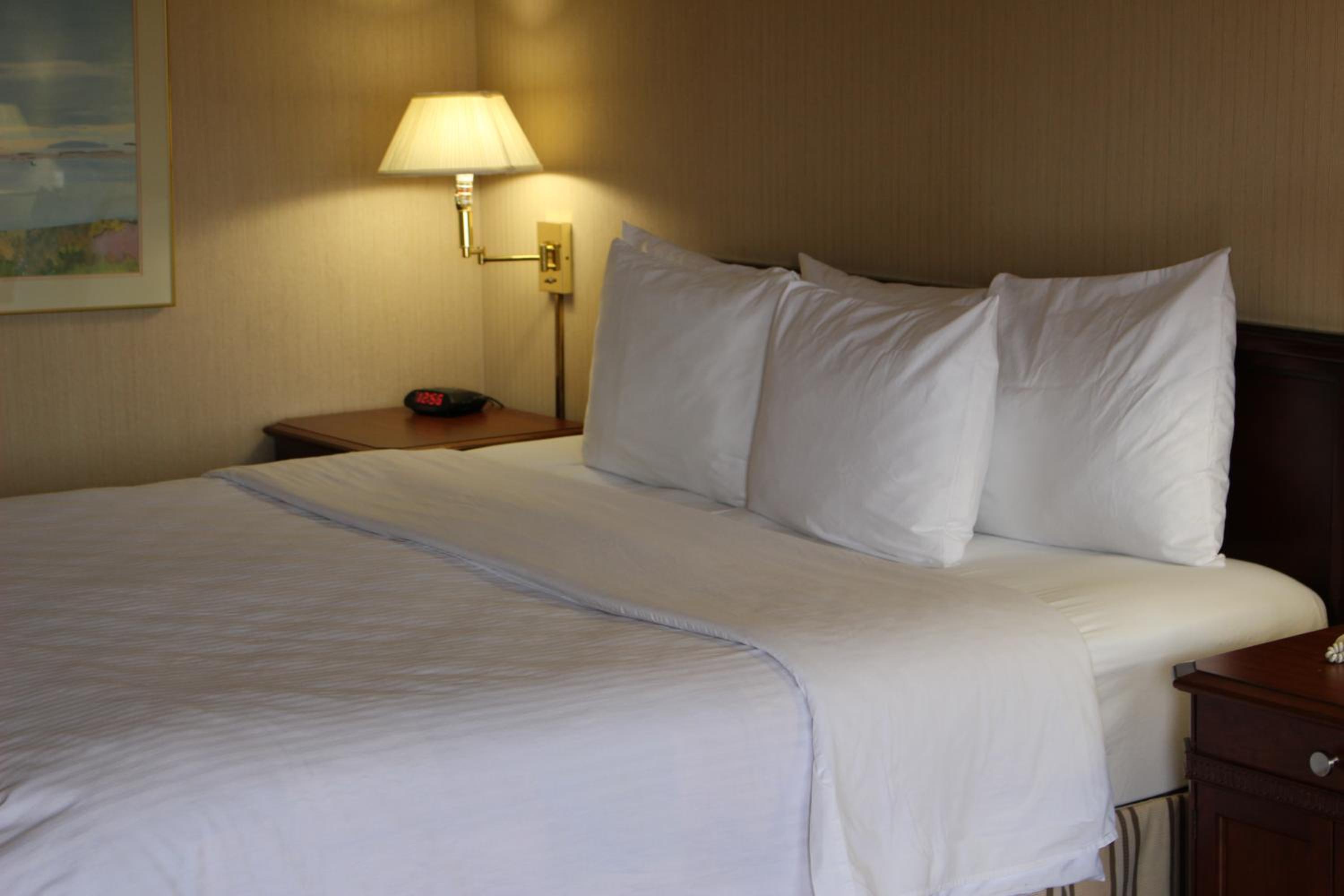One-Bedroom Queen Suite - Non-Smoking