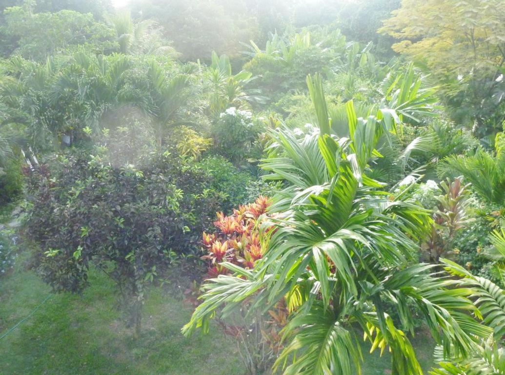 Apartment with Sea View photo 3