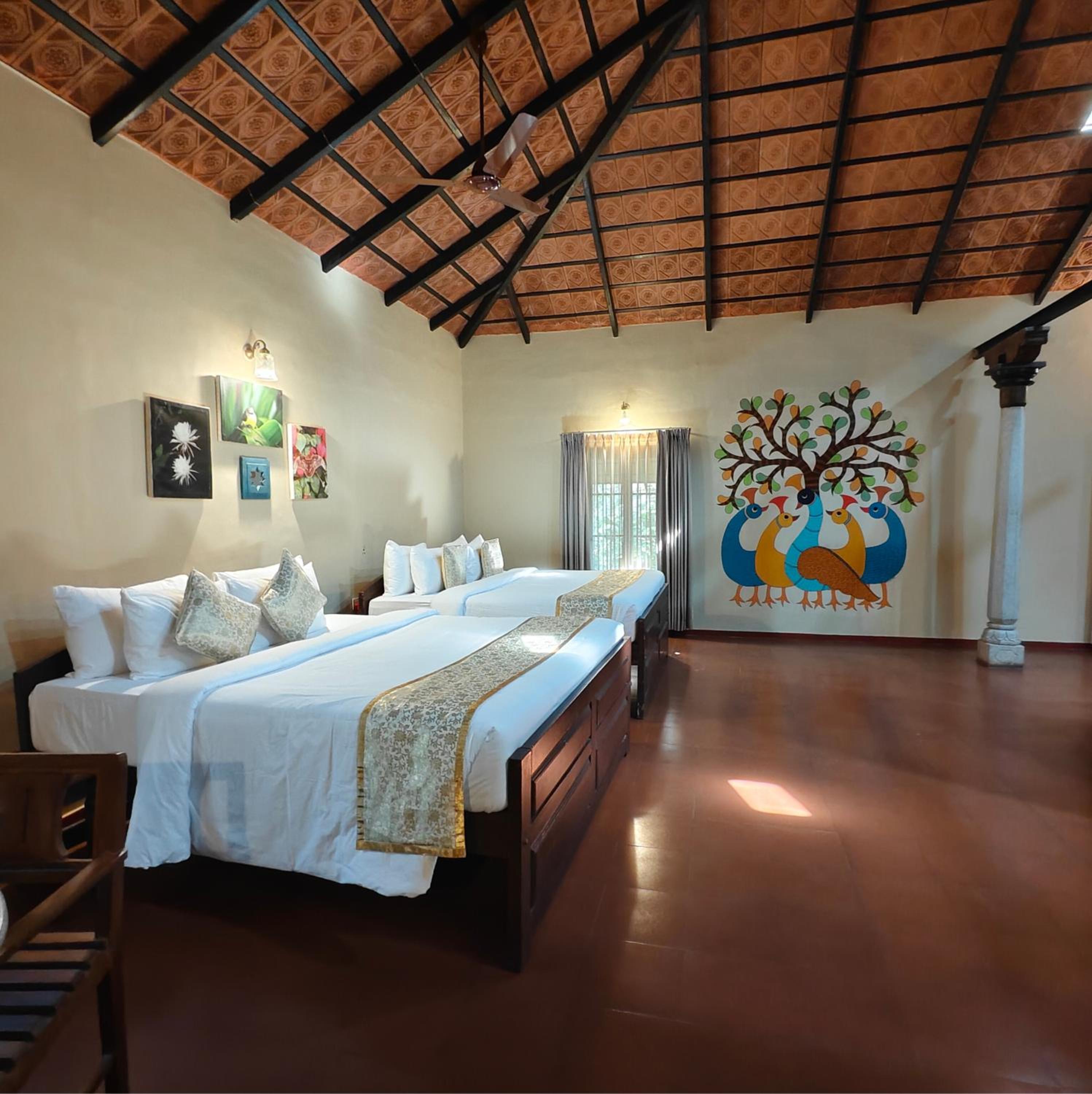 Family Suite - Photo 1