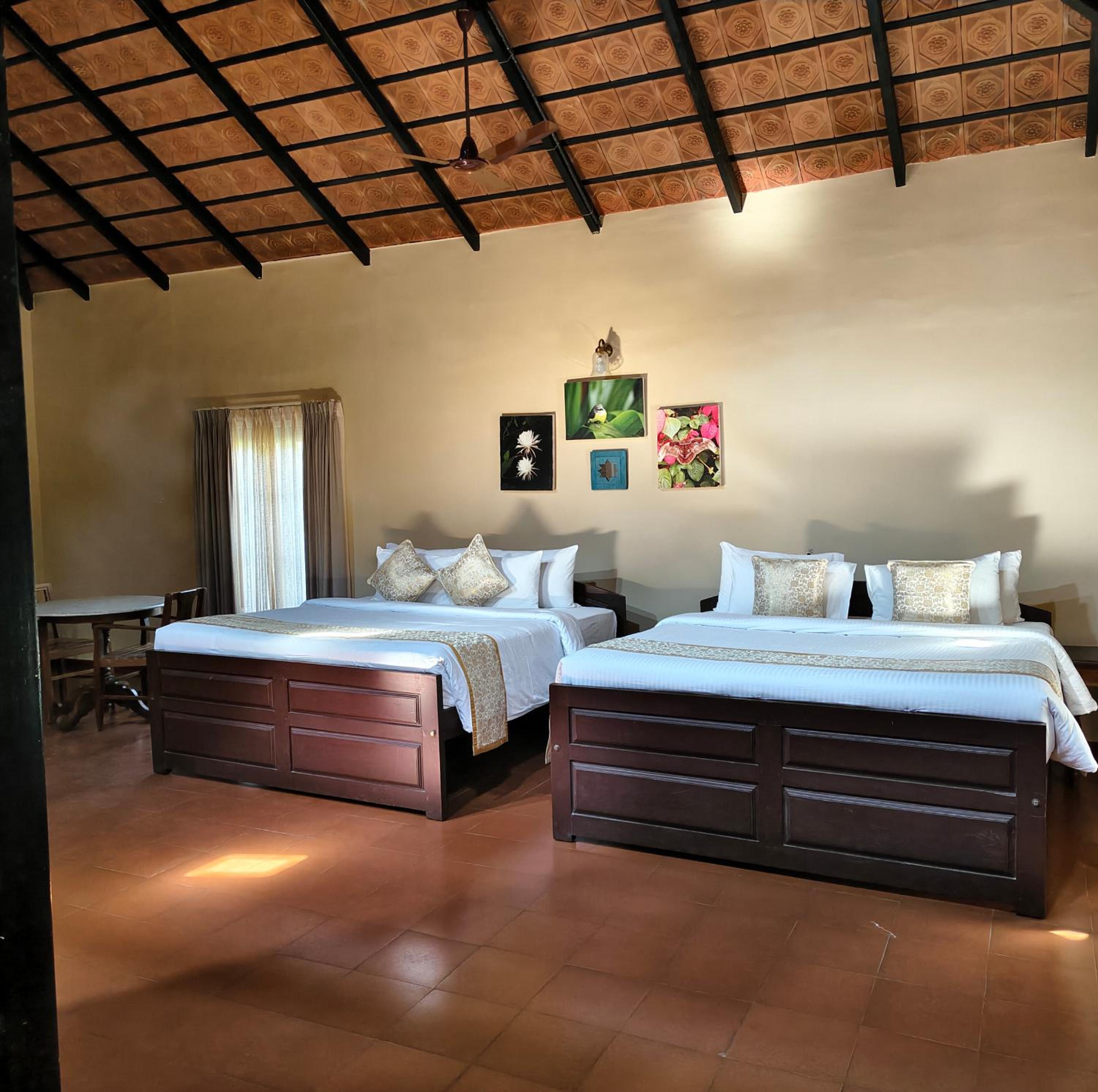 Family Suite - Photo 2