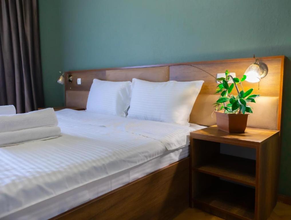 Standard Double or Twin Room with Balcony photo 1