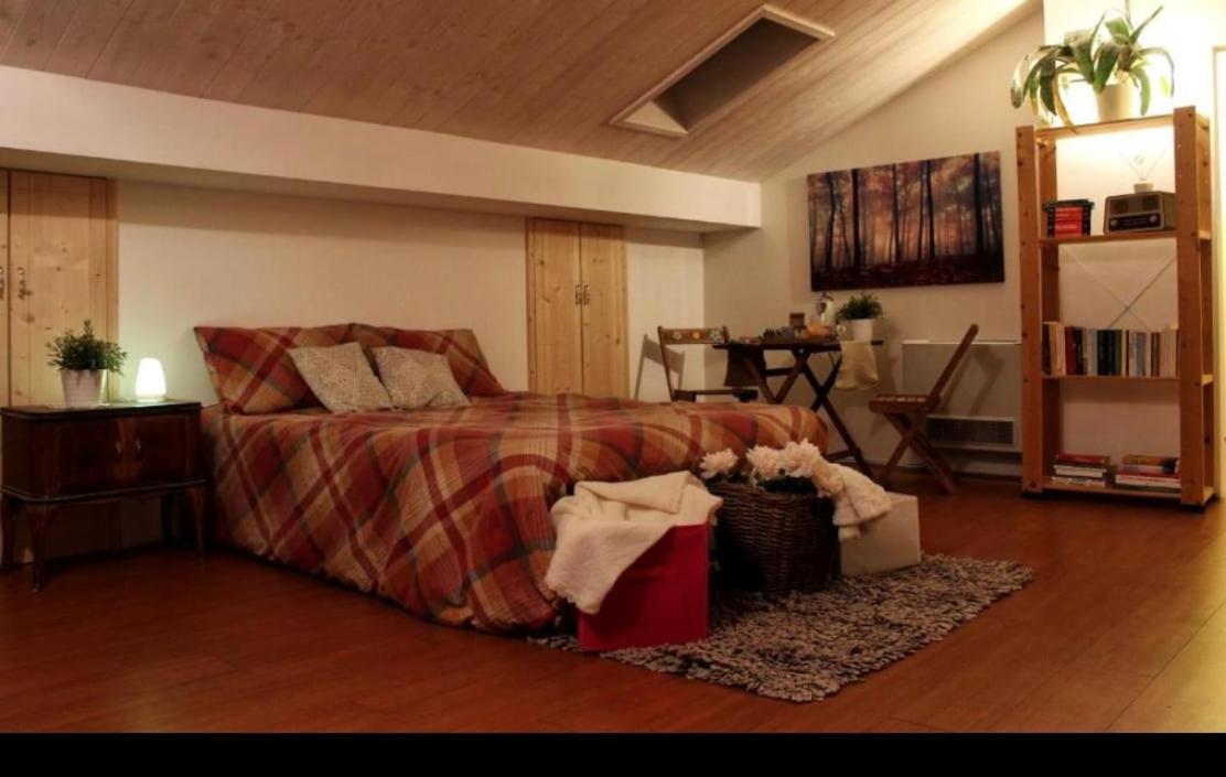 King Studio with Sofa Bed photo 3