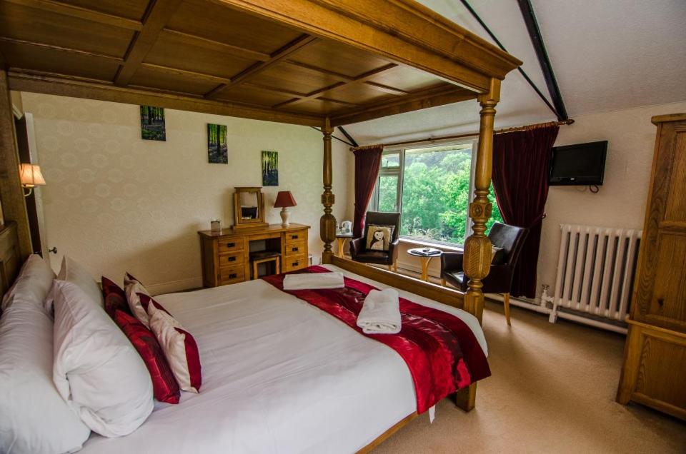 Deluxe King Room photo 1