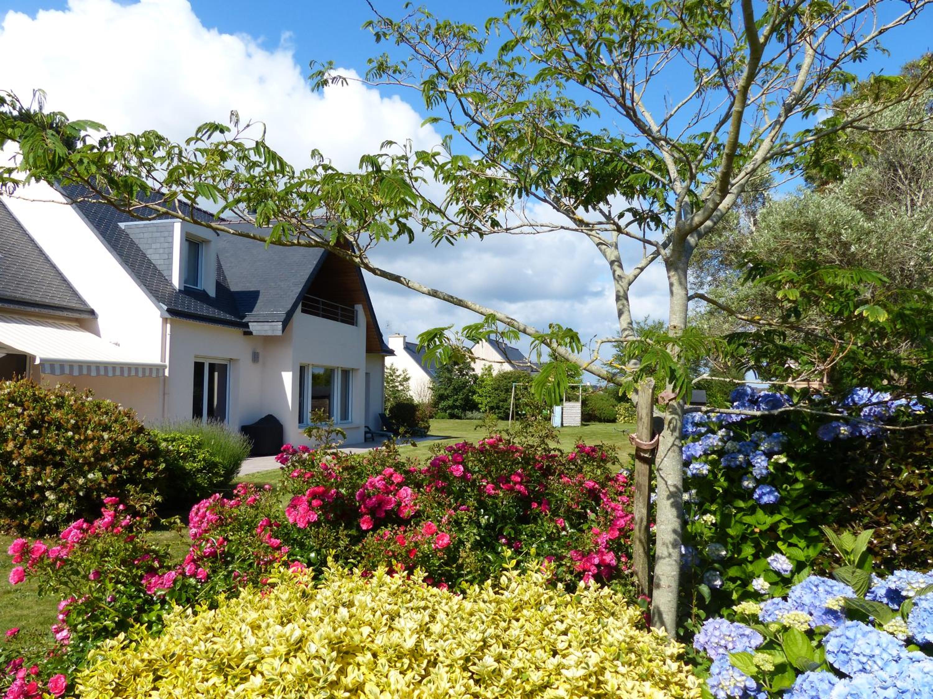 King Suite with Garden View