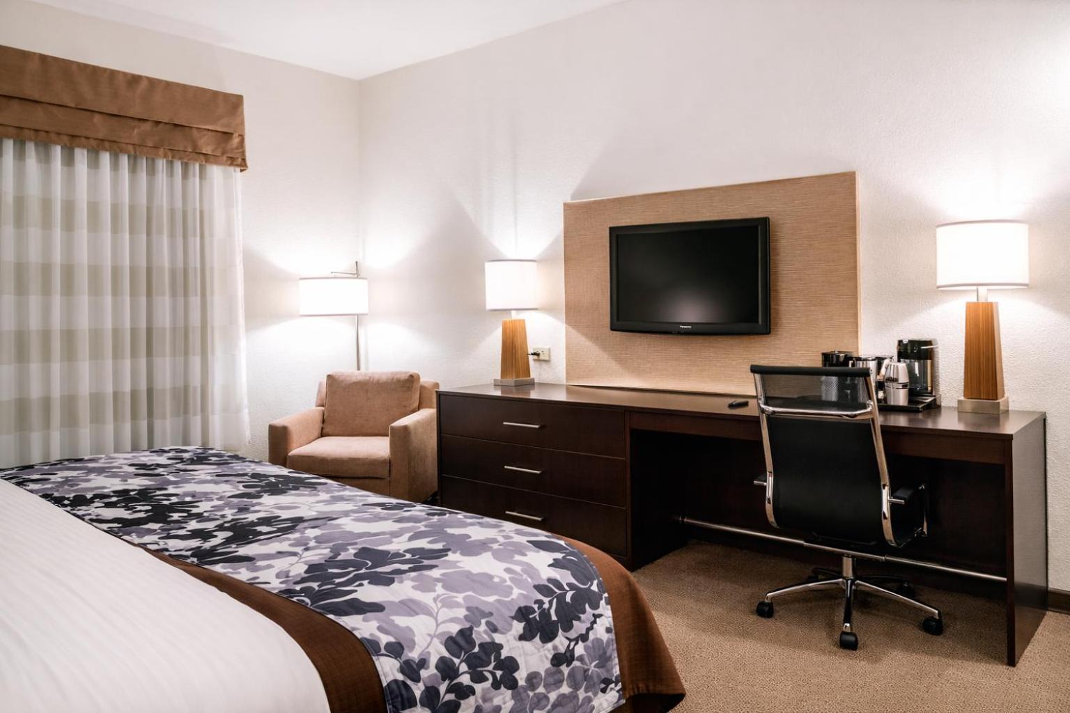 King Room - Accessible/Non-Smoking - Photo 6
